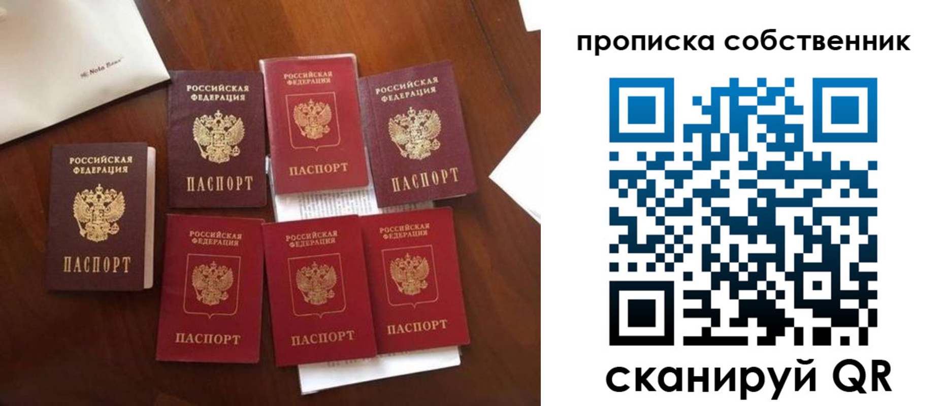прописка для школы в Купино