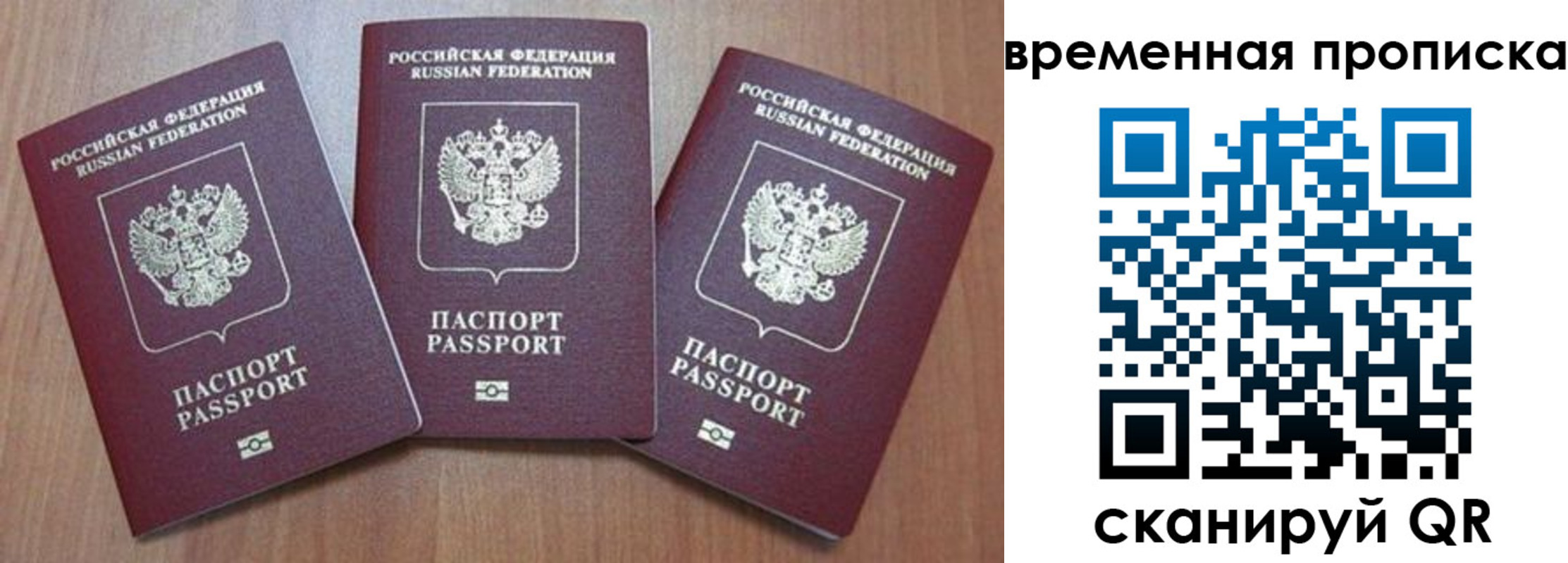 прописка для работы в Купино